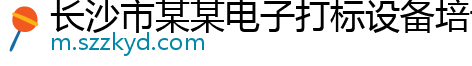 长沙市某某电子打标设备培训中心